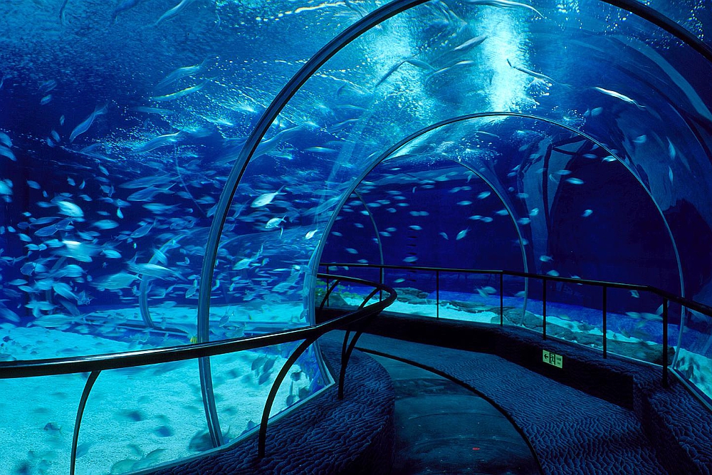 当地风景名胜：上海海洋水族馆